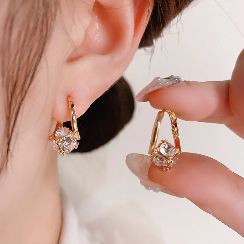 Hoop Earrings