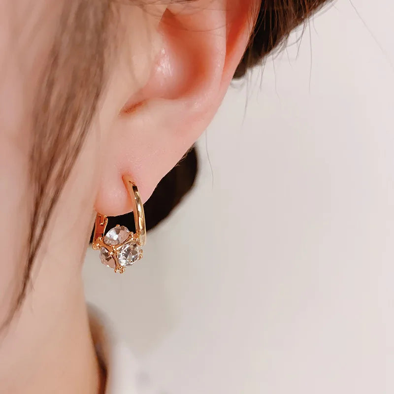 Hoop Earrings