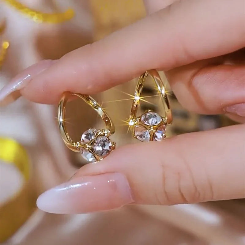 Hoop Earrings
