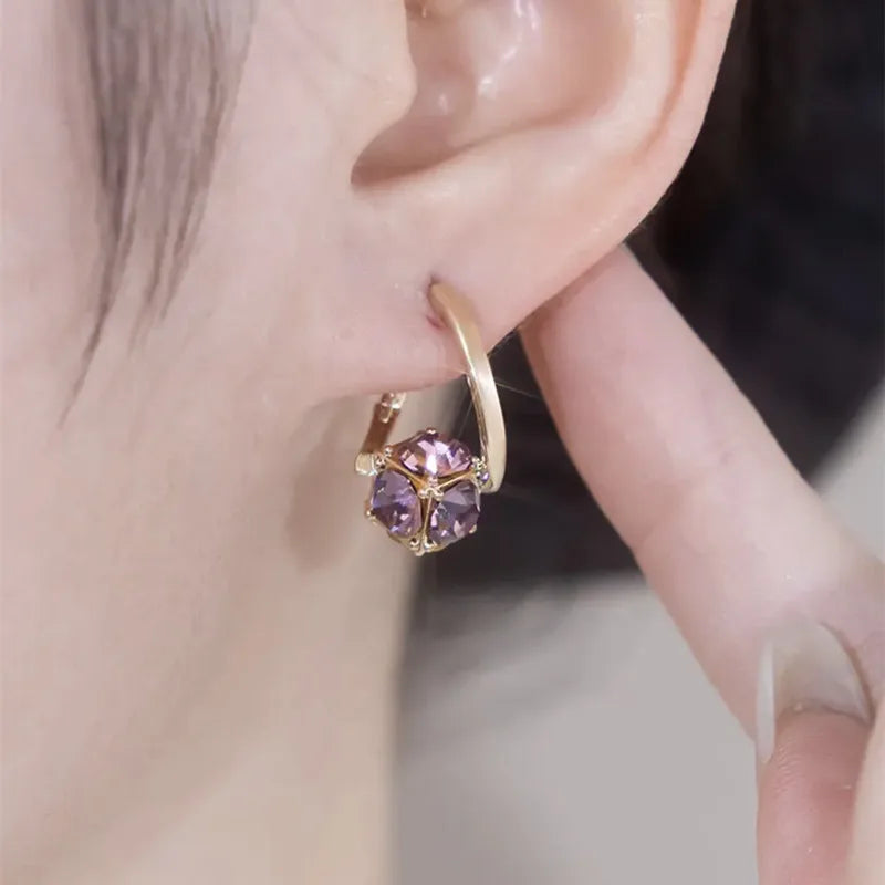 Hoop Earrings