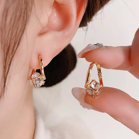 Hoop Earrings