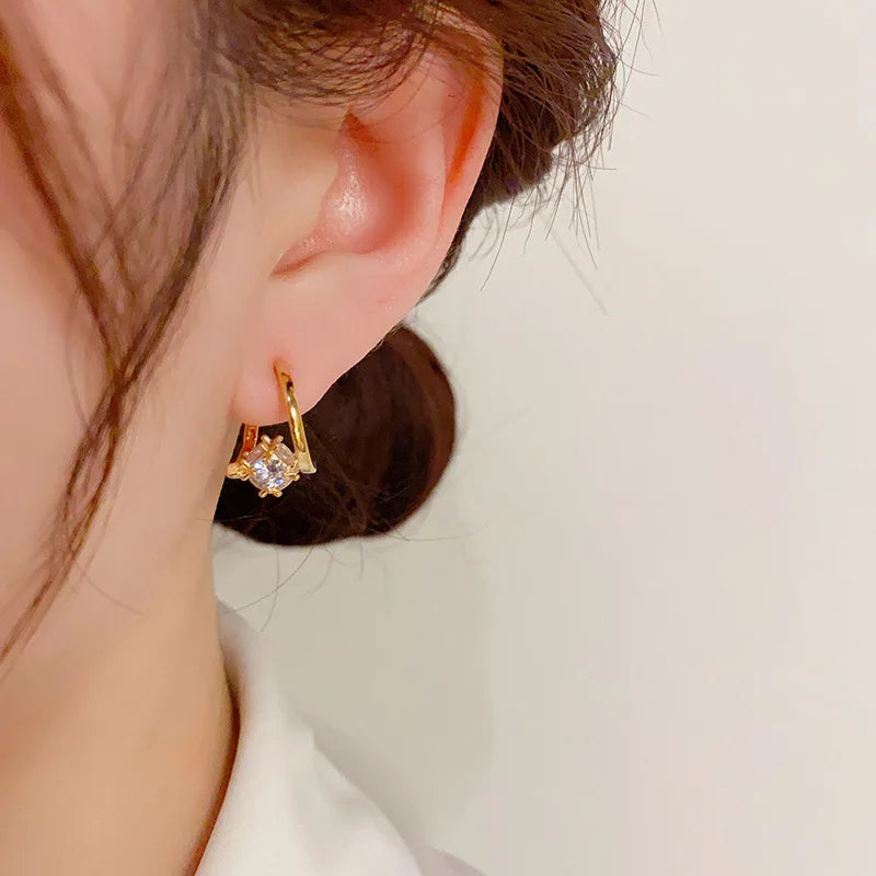 Hoop Earrings