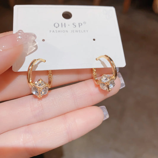 Hoop Earrings